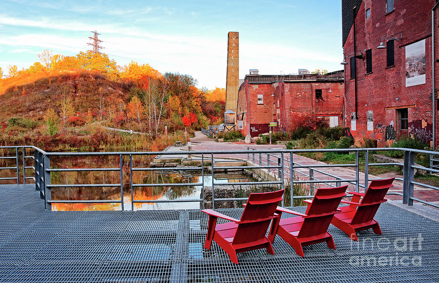 FREE FRIDAY: Moore Park Ravine and Evergreen Brickworks – Student ...